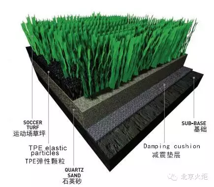 蓝月亮精准资料免费大公开