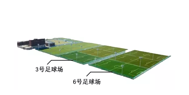 蓝月亮精准资料免费大公开